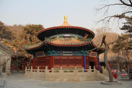 Pool and Mulberry Tree Temple